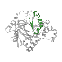 The deposited structure of PDB entry 4bis contains 2 copies of Pfam domain PF02375 (jmjN domain) in Lysine-specific demethylase 4A. Showing 1 copy in chain A.