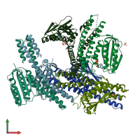 PDB entry 4biu coloured by chain, front view.