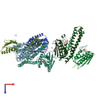 PDB entry 4biz coloured by chain, top view.