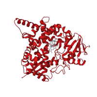 The deposited structure of PDB entry 4bjk contains 4 copies of CATH domain 1.10.630.10 (Cytochrome p450) in Lanosterol 14-alpha-demethylase. Showing 1 copy in chain A.