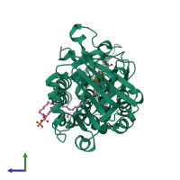 PDB entry 4bjy coloured by chain, side view.