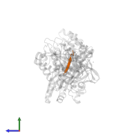 Zinc finger protein GLI1 in PDB entry 4blb, assembly 1, side view.