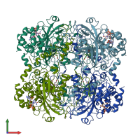 PDB entry 4blc coloured by chain, front view.