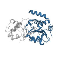 The deposited structure of PDB entry 4bn5 contains 12 copies of CATH domain 3.40.50.1220 (Rossmann fold) in NAD-dependent protein deacetylase sirtuin-3, mitochondrial. Showing 1 copy in chain A.