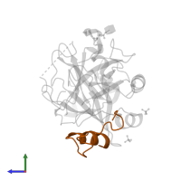 Thrombin light chain in PDB entry 4boh, assembly 1, side view.