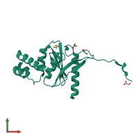 PDB entry 4boq coloured by chain, front view.