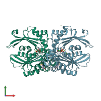 PDB entry 4brd coloured by chain, front view.
