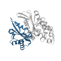 The deposited structure of PDB entry 4brh contains 2 copies of CATH domain 3.30.420.40 (Nucleotidyltransferase; domain 5) in Ectonucleoside triphosphate diphosphohydrolase I. Showing 1 copy in chain A.