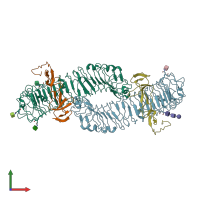 PDB entry 4bst coloured by chain, front view.