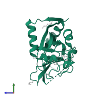 Poly [ADP-ribose] polymerase tankyrase-2 in PDB entry 4but, assembly 1, side view.