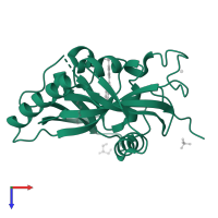 Poly [ADP-ribose] polymerase tankyrase-2 in PDB entry 4but, assembly 1, top view.