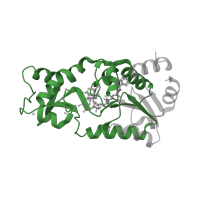 The deposited structure of PDB entry 4buz contains 1 copy of Pfam domain PF02146 (Sir2 family) in NAD-dependent protein deacetylase. Showing 1 copy in chain A.