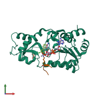 PDB entry 4buz coloured by chain, front view.