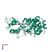 NAD-dependent protein deacetylase in PDB entry 4buz, assembly 1, top view.