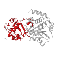 The deposited structure of PDB entry 4bvg contains 1 copy of CATH domain 3.30.1600.10 (SIR2/SIRT2 'Small Domain') in NAD-dependent protein deacetylase sirtuin-3, mitochondrial. Showing 1 copy in chain A.