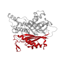 The deposited structure of PDB entry 4bvs contains 2 copies of CATH domain 3.30.1330.160 (60s Ribosomal Protein L30; Chain: A;) in Cyanuric acid amidohydrolase. Showing 1 copy in chain A.