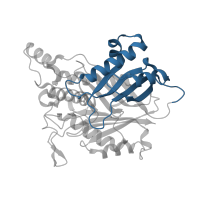 The deposited structure of PDB entry 4bvs contains 2 copies of CATH domain 3.30.1330.170 (60s Ribosomal Protein L30; Chain: A;) in Cyanuric acid amidohydrolase. Showing 1 copy in chain A.