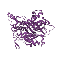 The deposited structure of PDB entry 4bvs contains 2 copies of Pfam domain PF09663 (Amidohydrolase ring-opening protein (Amido_AtzD_TrzD)) in Cyanuric acid amidohydrolase. Showing 1 copy in chain A.