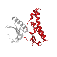 The deposited structure of PDB entry 4bvu contains 1 copy of CATH domain 1.10.510.10 (Transferase(Phosphotransferase); domain 1) in Protein kinase OspG. Showing 1 copy in chain A.