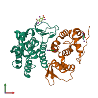 PDB entry 4bvx coloured by chain, front view.