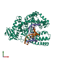 PDB entry 4bwj coloured by chain, front view.