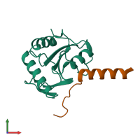 Hetero dimeric assembly 2 of PDB entry 4bwq coloured by chemically distinct molecules, front view.