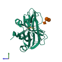 PDB entry 4c1w coloured by chain, side view.