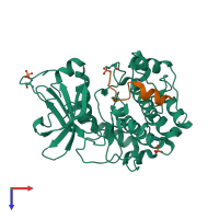 PDB 4c33 coloured by chain and viewed from the top.