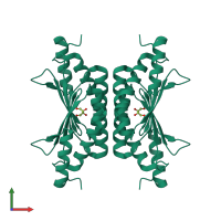 Homo tetrameric assembly 1 of PDB entry 4c45 coloured by chemically distinct molecules, front view.