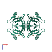 Homo tetrameric assembly 1 of PDB entry 4c45 coloured by chemically distinct molecules, top view.