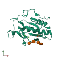 PDB entry 4c4m coloured by chain, front view.