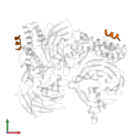 DNA polymerase alpha catalytic subunit A in PDB entry 4c93, assembly 1, front view.