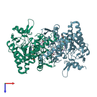 PDB entry 4cam coloured by chain, top view.