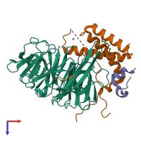 PDB entry 4cc9 coloured by chain, top view.