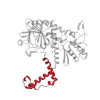 The deposited structure of PDB entry 4cco contains 2 copies of CATH domain 1.10.10.1500 (Arc Repressor Mutant, subunit A) in Ribosomal oxygenase 1. Showing 1 copy in chain B.