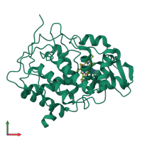 PDB entry 4ccp coloured by chain, front view.