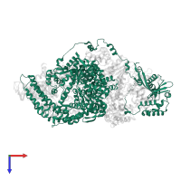 ATP-DEPENDENT HELICASE/NUCLEASE SUBUNIT A in PDB entry 4cej, assembly 1, top view.