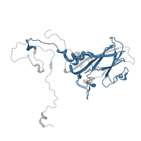 The deposited structure of PDB entry 4cew contains 1 copy of Pfam domain PF00073 (picornavirus capsid protein) in VP1. Showing 1 copy in chain A.