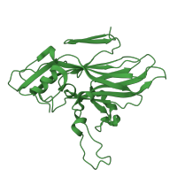 The deposited structure of PDB entry 4cew contains 1 copy of CATH domain 2.60.120.20 (Jelly Rolls) in VP2. Showing 1 copy in chain B.