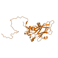 The deposited structure of PDB entry 4cew contains 1 copy of CATH domain 2.60.120.20 (Jelly Rolls) in VP3. Showing 1 copy in chain C.