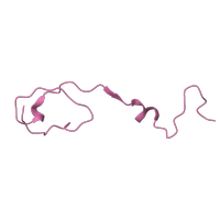 The deposited structure of PDB entry 4cew contains 1 copy of Pfam domain PF02226 (Picornavirus coat protein (VP4)) in VP4. Showing 1 copy in chain D.