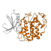 The deposited structure of PDB entry 4cfw contains 2 copies of CATH domain 1.10.510.10 (Transferase(Phosphotransferase); domain 1) in Cyclin-dependent kinase 2. Showing 1 copy in chain A.