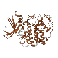 The deposited structure of PDB entry 4cfw contains 2 copies of Pfam domain PF00069 (Protein kinase domain) in Cyclin-dependent kinase 2. Showing 1 copy in chain A.