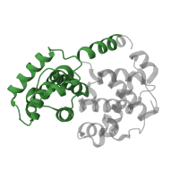 The deposited structure of PDB entry 4cfw contains 2 copies of Pfam domain PF00134 (Cyclin, N-terminal domain) in Cyclin-A2. Showing 1 copy in chain B.