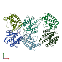 PDB entry 4chc coloured by chain, front view.