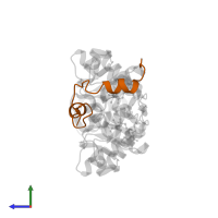 Antitoxin VapB15 in PDB entry 4chg, assembly 2, side view.