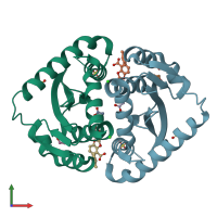PDB entry 4chq coloured by chain, front view.