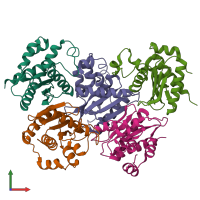 PDB entry 4clc coloured by chain, front view.
