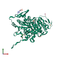 PDB entry 4clp coloured by chain, front view.