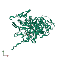 PDB entry 4clu coloured by chain, front view.